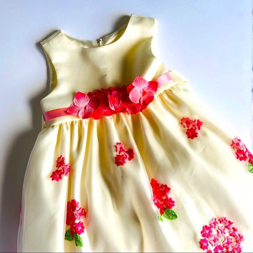 Like new princess party dress 2T